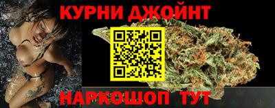 дживик Гай