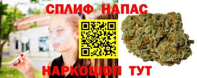 прущие крисы Гатчина