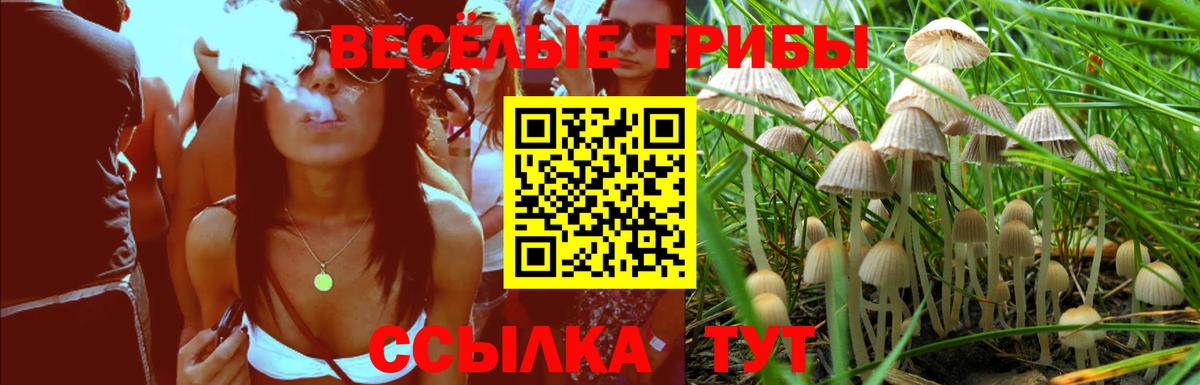 Галлюциногенные грибы мицелий  Вход с VPN  Назарово  Галлюциногенные грибы ЛСД 